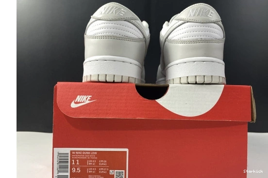 DD1503-103 Dust" Dunk Nike Low "Photon 0113